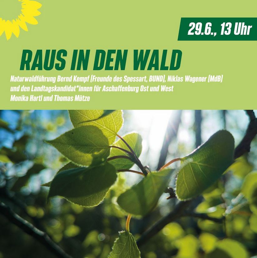 Naturwaldführung mit Niklas Wagener (MdB) und Bernd Kempf (Bund Naturschutz, Freunde des Spessart)