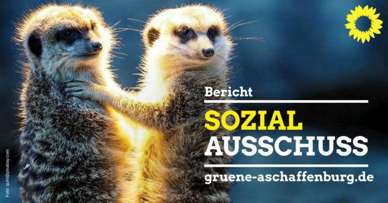 Bericht Sozialausschuss-Sitzung vom 2. Juli 2020