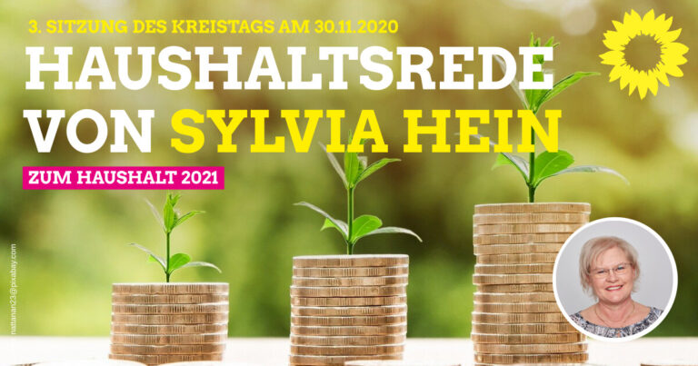 Haushaltsrede zum Haushalt 2021 von Sylvia Hein